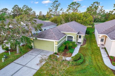 A home in LAND O LAKES