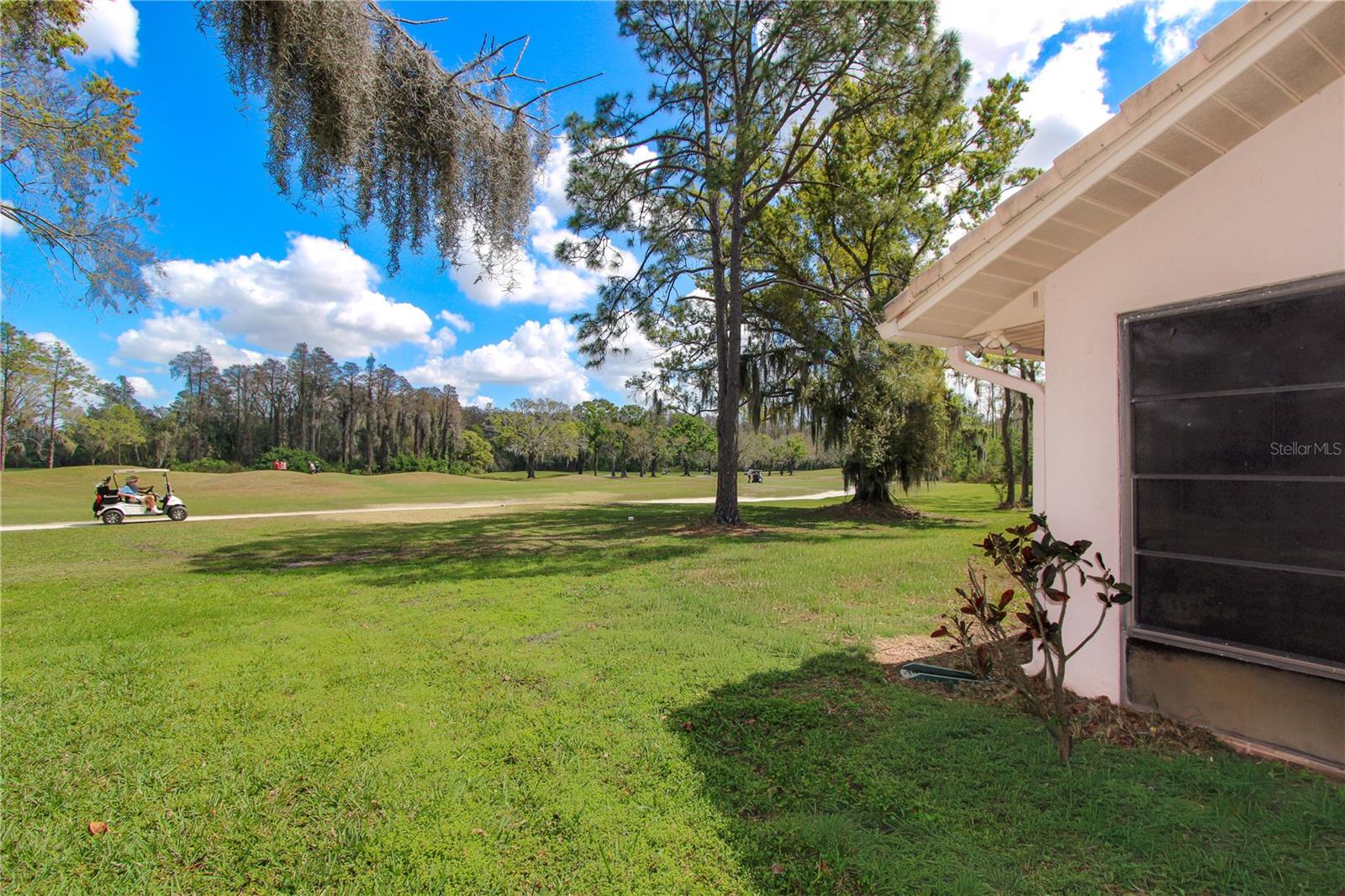 1003 CALLE ROSA PLACE