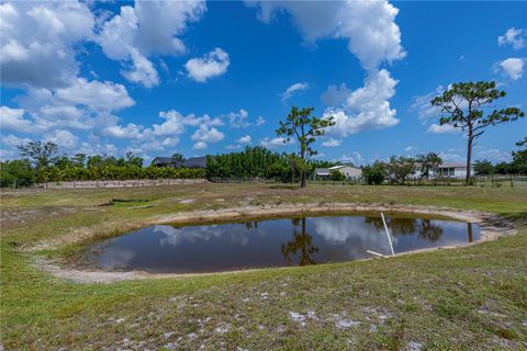 A home in PUNTA GORDA