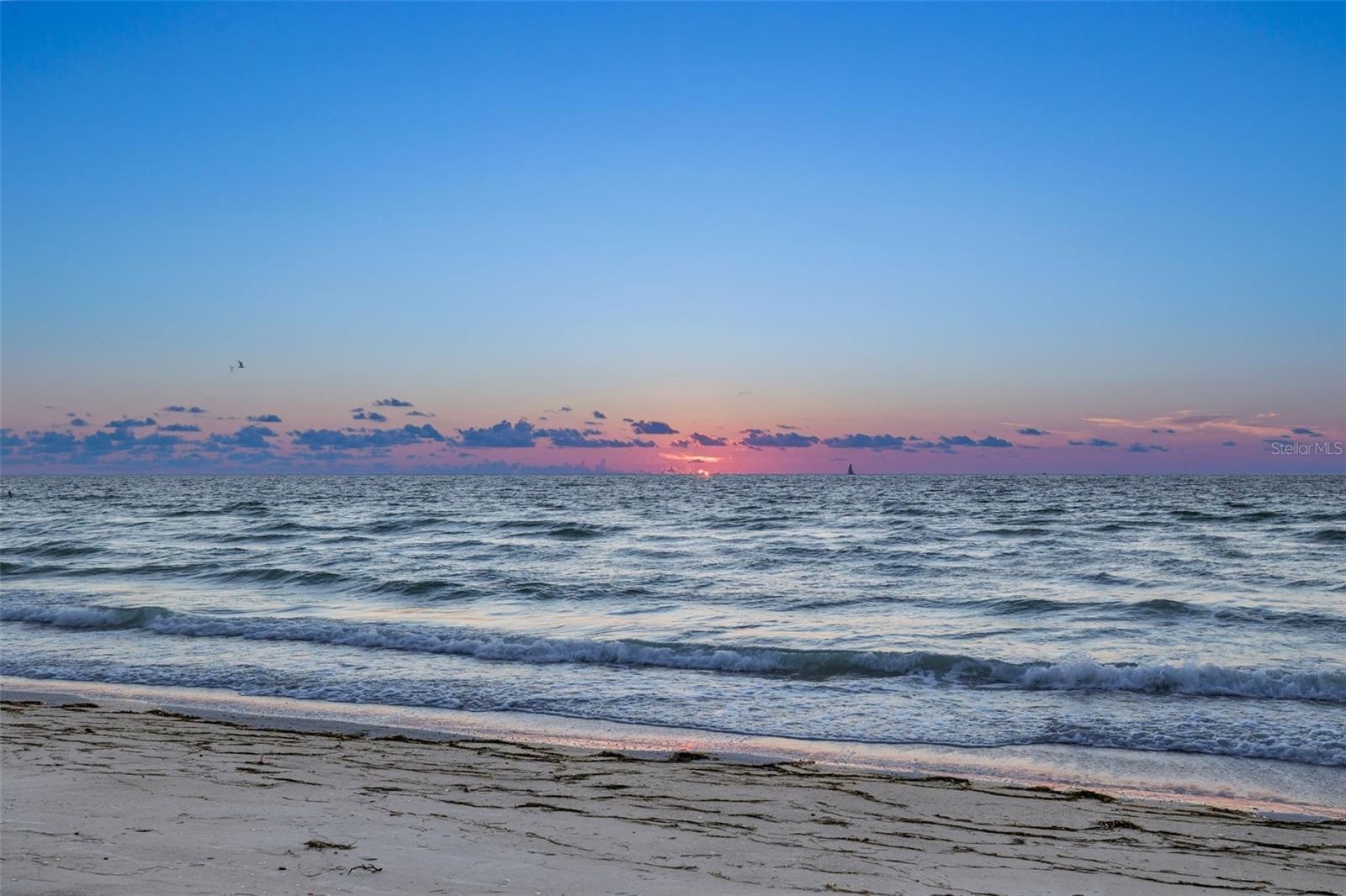 DANS ISLAND ON SAND KEY CONDO - Residential