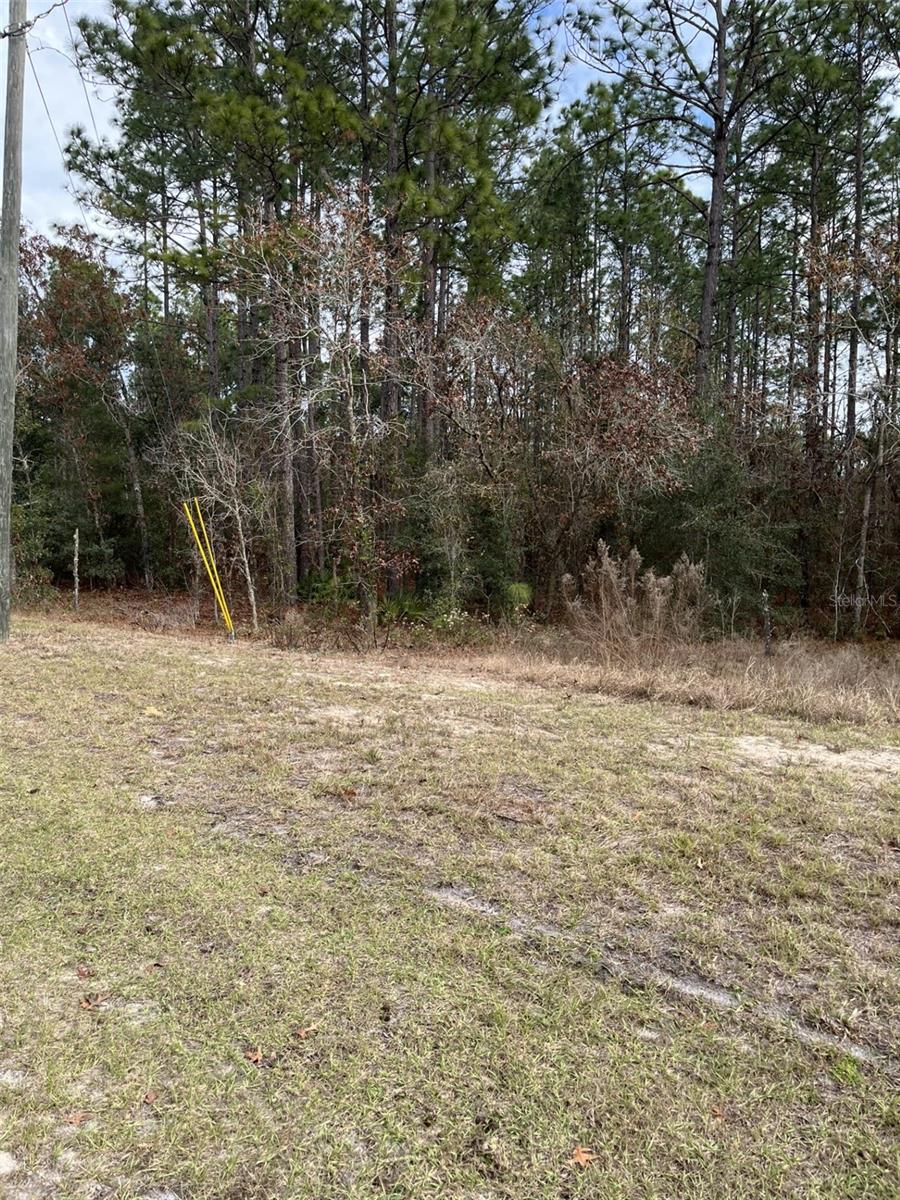 MARION OAKS UN 12 - Land