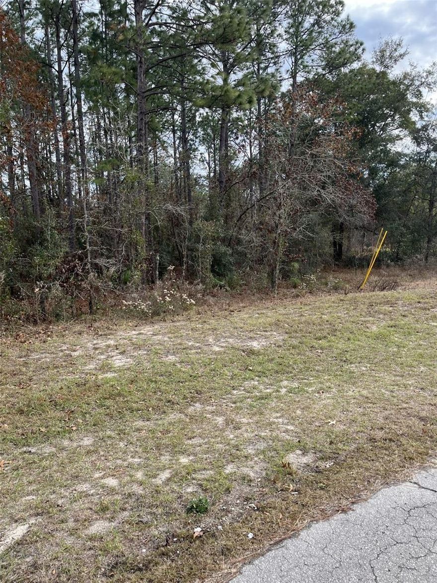 Vacant lot waiting for the perfect builder to create a dream home in Marion Oaks. This .23 acre lot is close to CR 484 with easy access to I-75. A motivated seller always helps. Stop by and see this lot today!