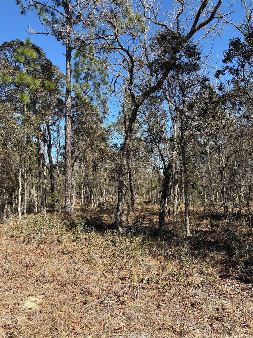 Escape to the quiet peaceful area of Rainbow Lakes Estates. Buildable lot for home or investment for the future.