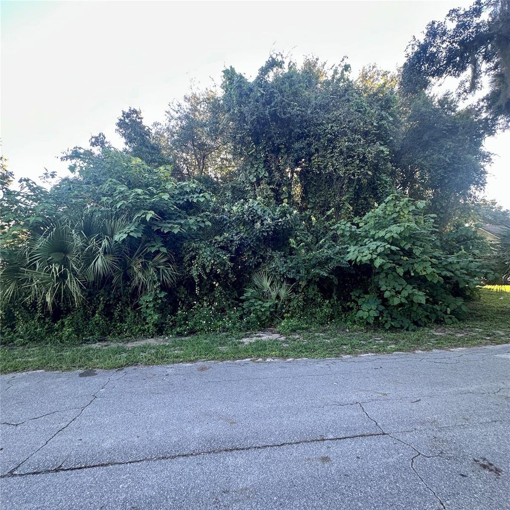 Photo of 0 Oak Street, Oak Hill, FL 32759 (MLS # NS1089355)