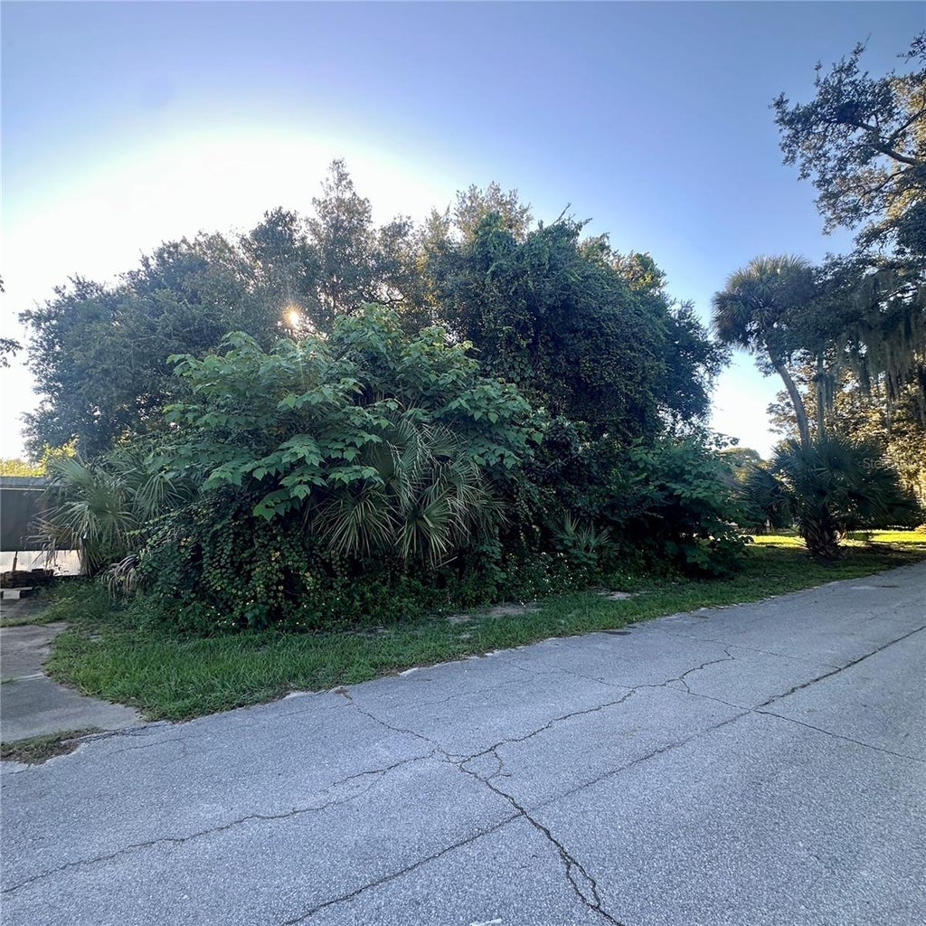 Photo of 0 Oak Street, Oak Hill, FL 32759 (MLS # NS1089355)