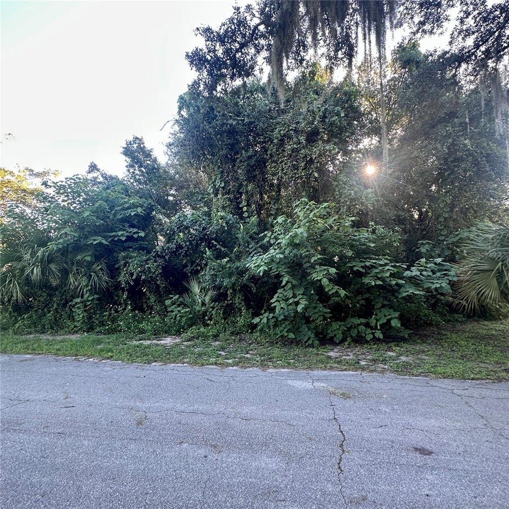 Photo of 0 Oak Street, Oak Hill, FL 32759 (MLS # NS1089355)