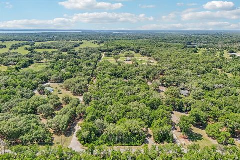 Tiny photo for 4546 Griffin View Drive, Lady Lake, FL 32159 (MLS # G5112836)