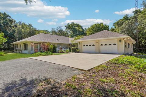 Tiny photo for 4546 Griffin View Drive, Lady Lake, FL 32159 (MLS # G5112836)