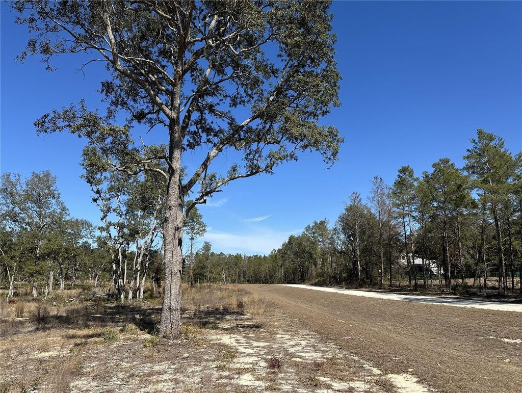 Photo of 13183 Haven Trail, Weeki Wachee, FL 34614 (MLS # TB8474683)