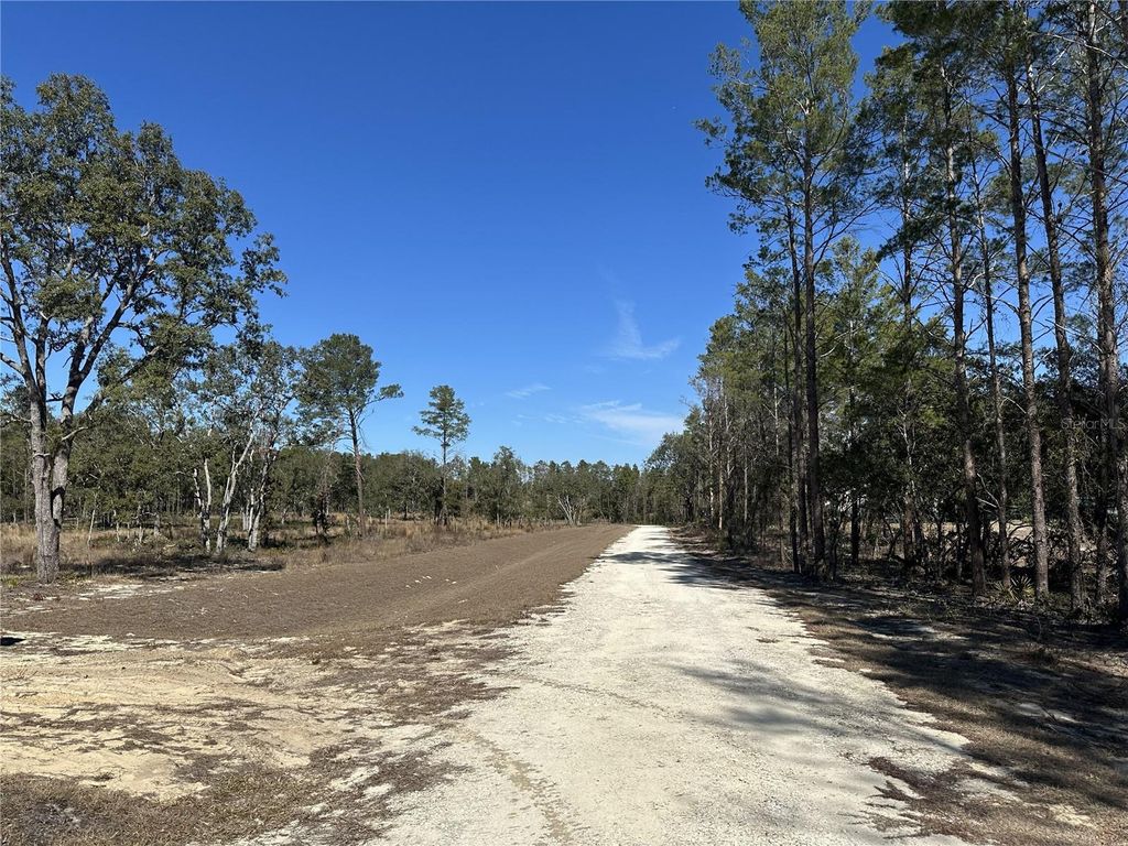 Photo of 13183 Haven Trail, Weeki Wachee, FL 34614 (MLS # TB8474683)