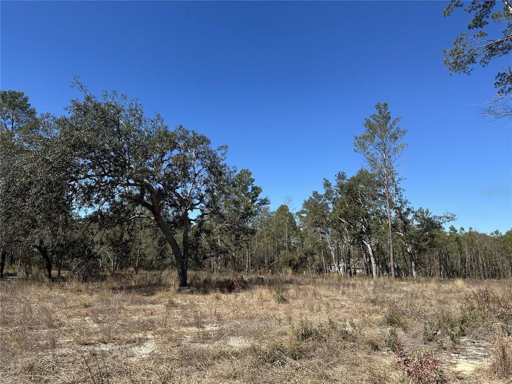 Photo of 13183 Haven Trail, Weeki Wachee, FL 34614 (MLS # TB8474683)