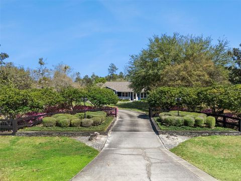 Tiny photo for 37008 Forestdel Drive, Eustis, FL 32736 (MLS # O6386511)