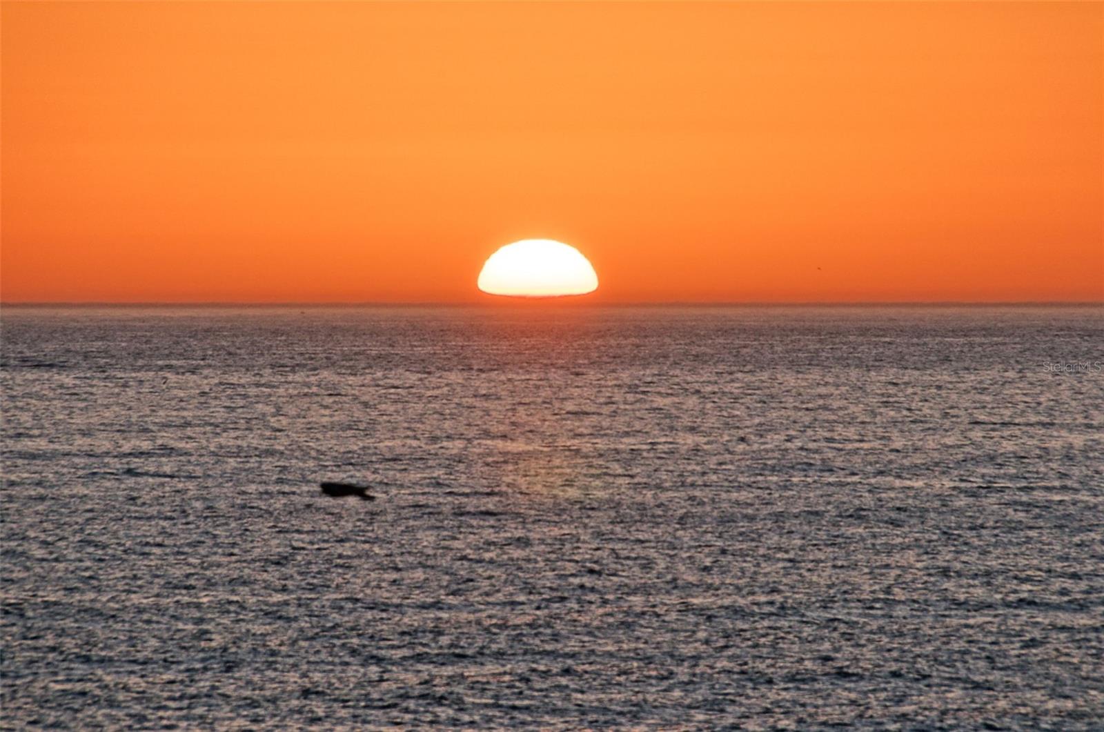 HOLIDAY LAKE VILLAS CONDO - Residential