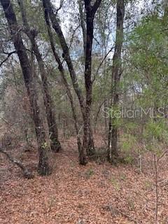 FLAMINGO LAKE ESTATES - Land