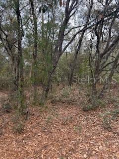 FLAMINGO LAKE ESTATES - Land