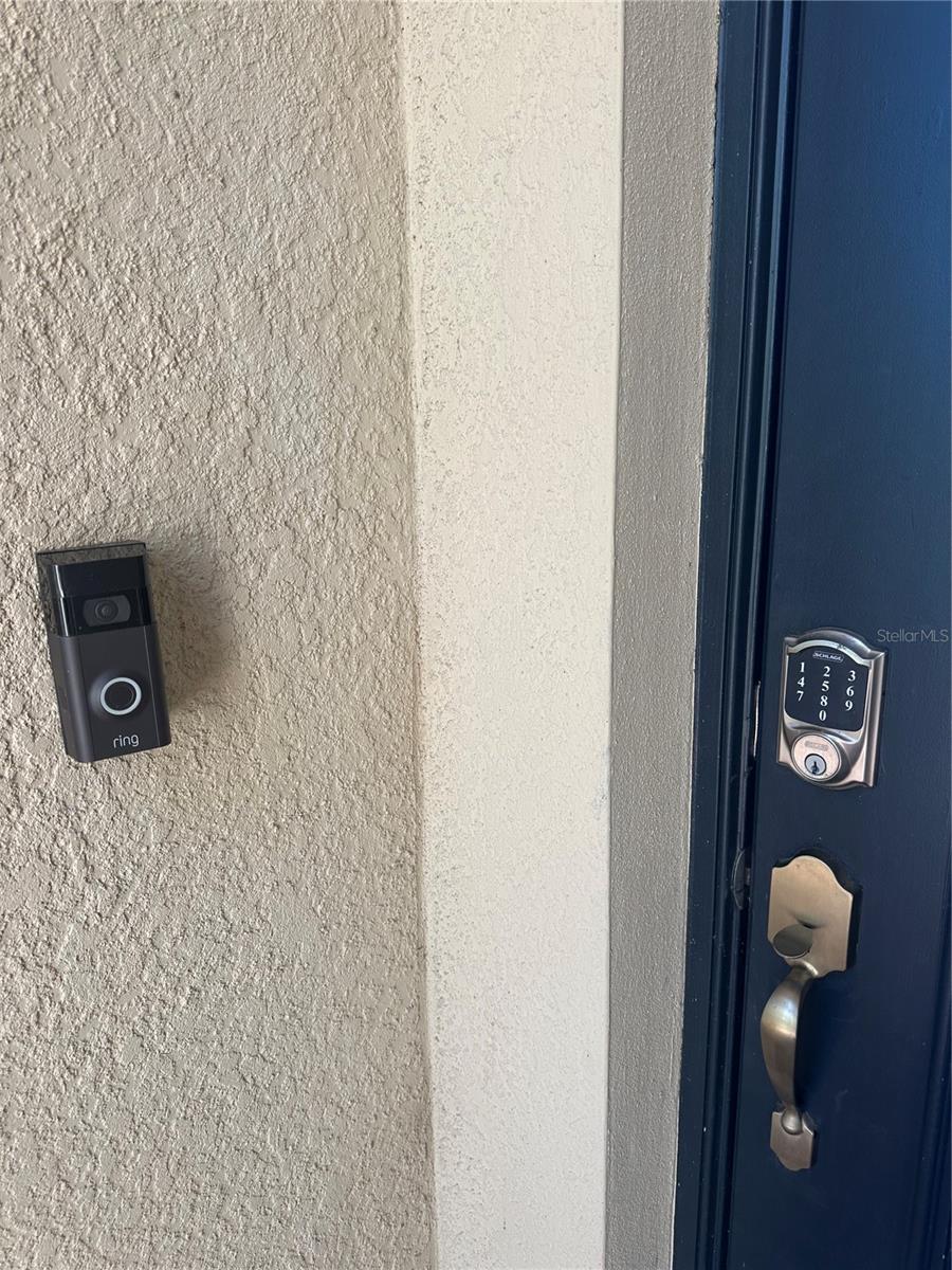 13422 SAW PALM CREEK TRAIL