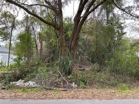 0 SE 137TH PLACE SUMMERFIELD FL 34491