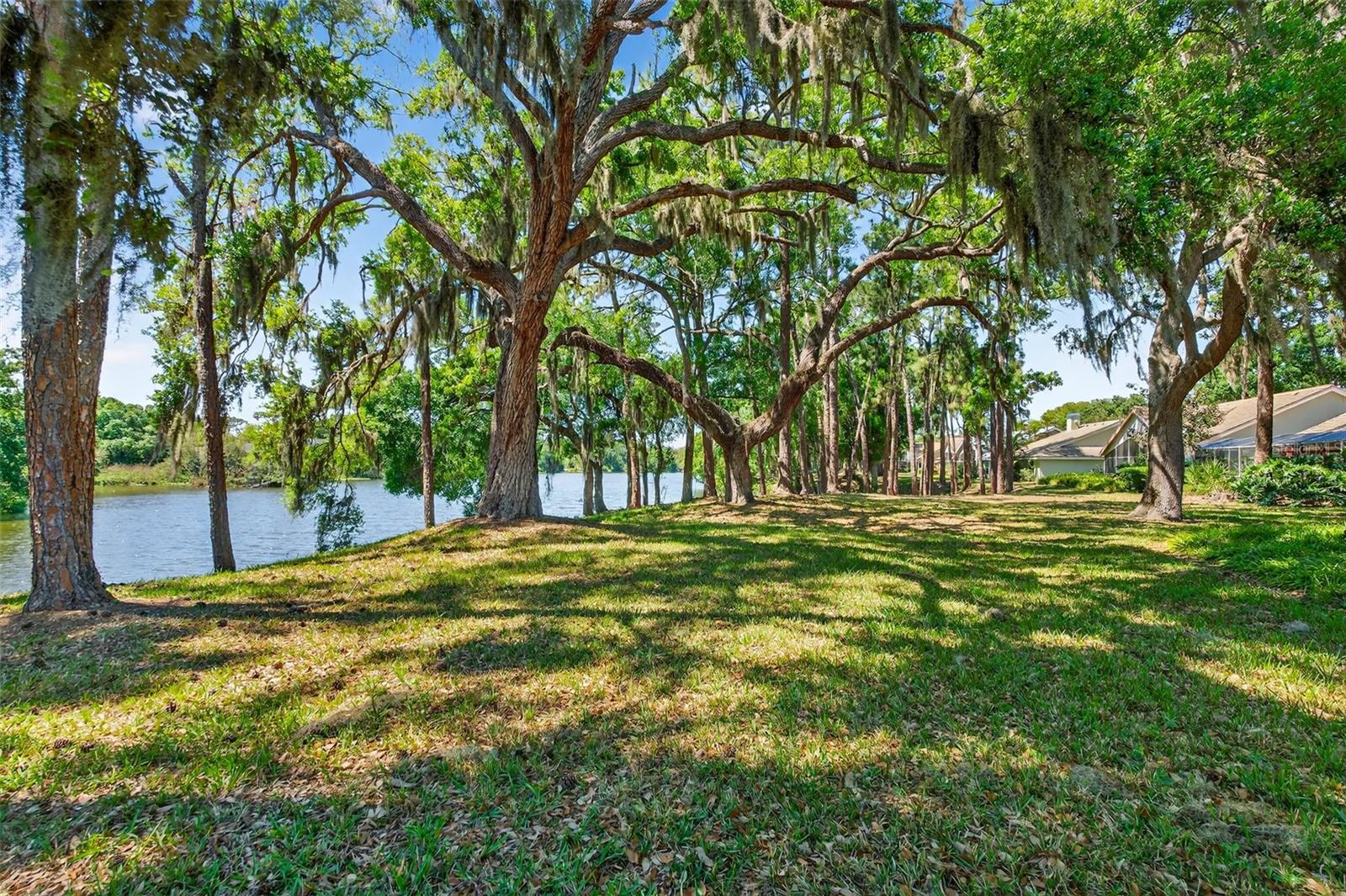 LONGWOOD VILLAS - Residential