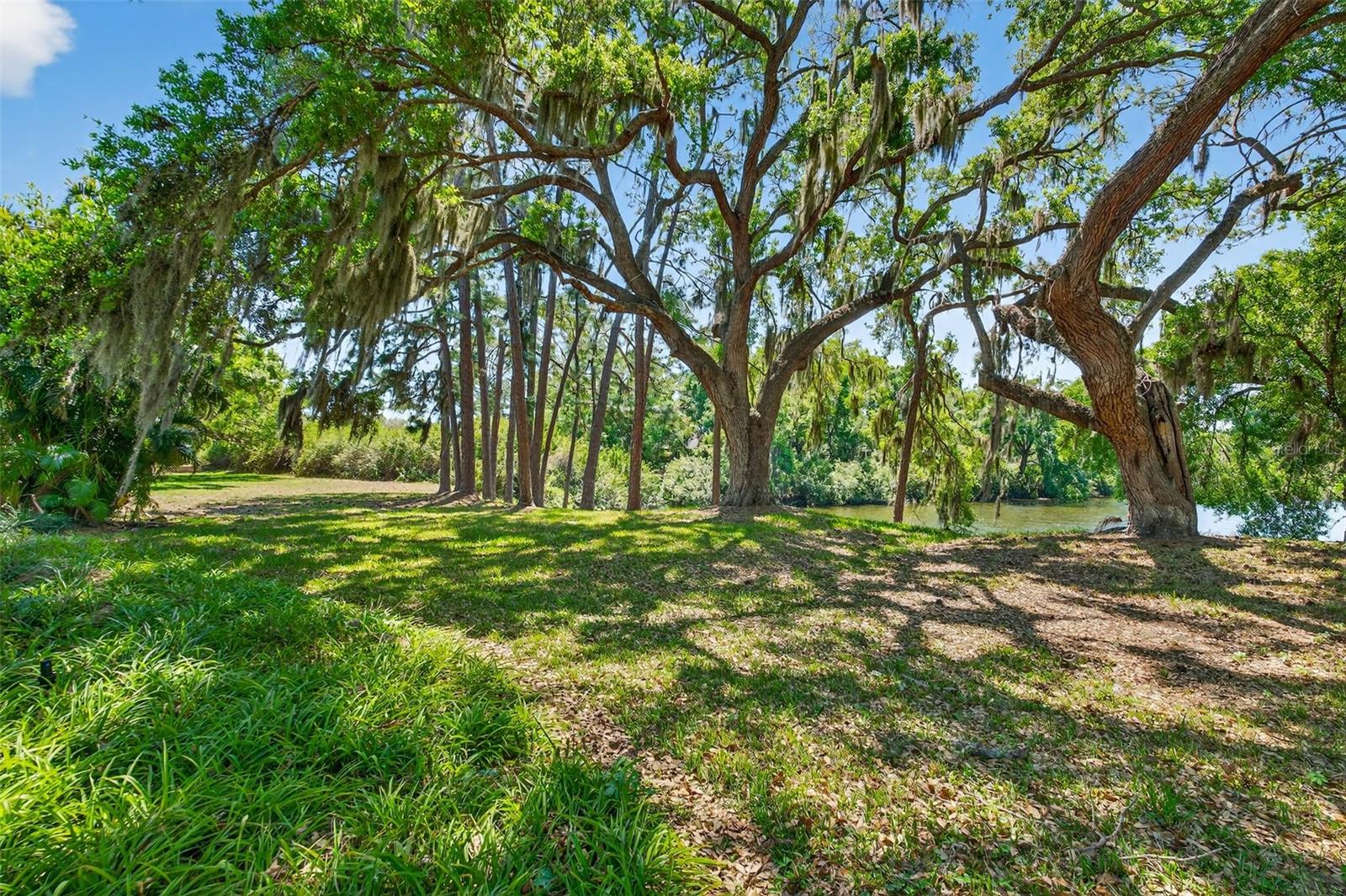 LONGWOOD VILLAS - Residential