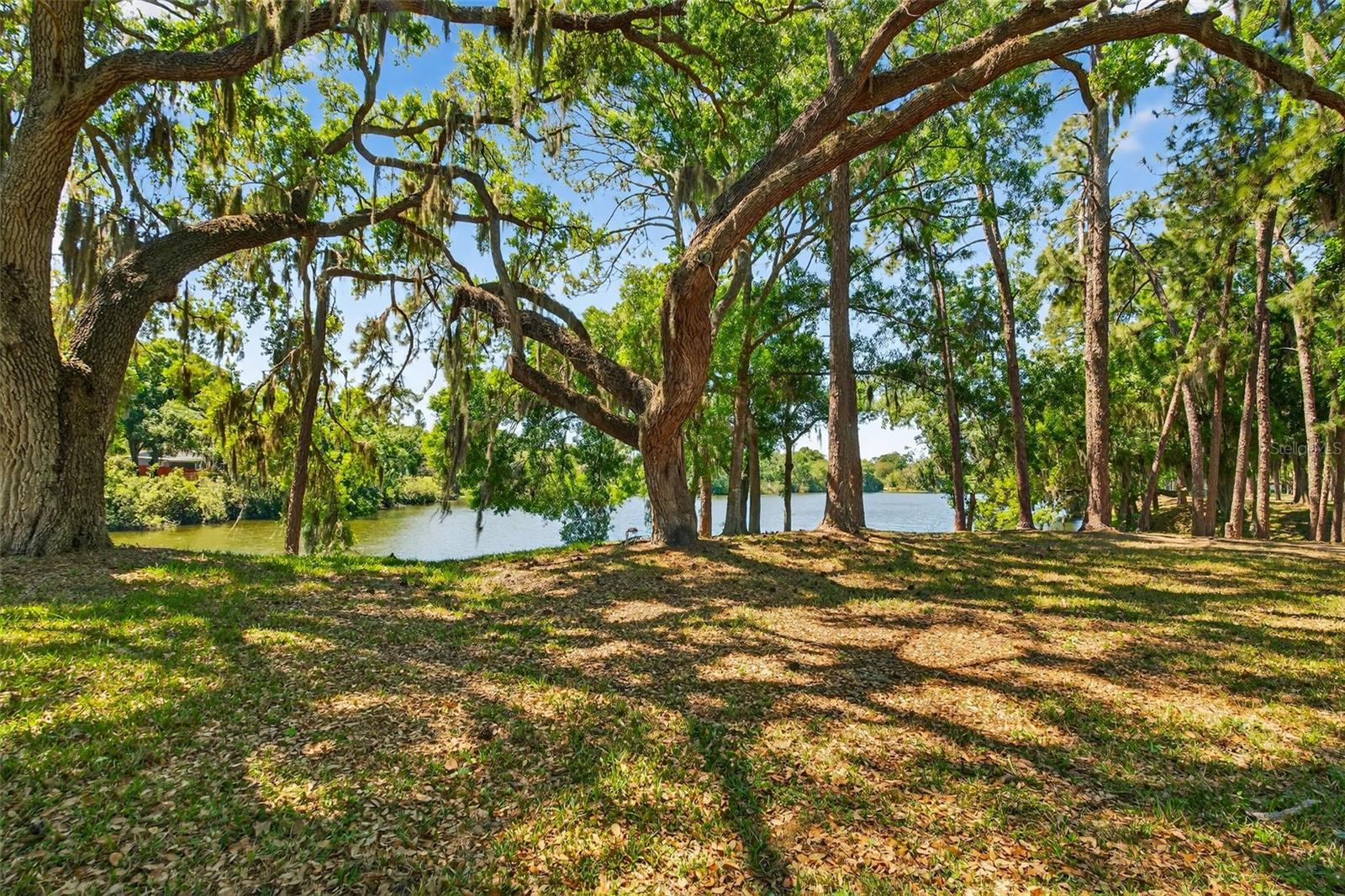 LONGWOOD VILLAS - Residential