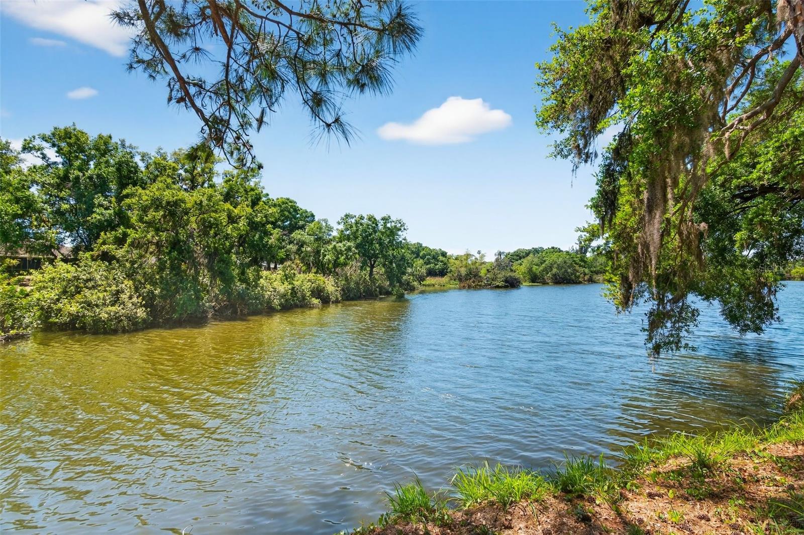 LONGWOOD VILLAS - Residential