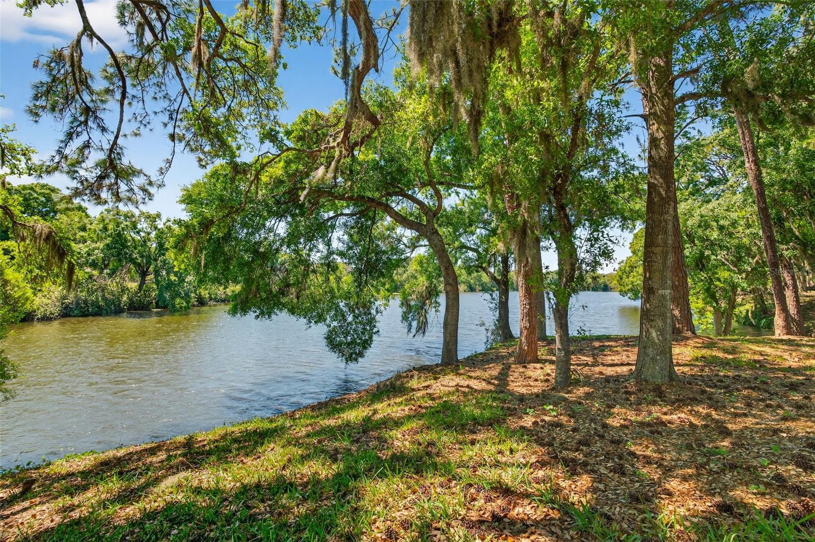 LONGWOOD VILLAS - Residential