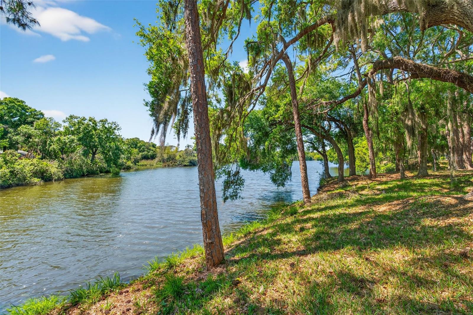 LONGWOOD VILLAS - Residential