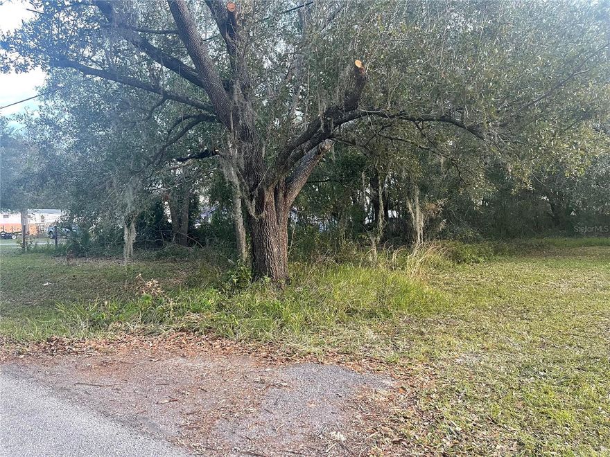 Have it all, a beautiful country setting with the convenience of Wesley Chapel dining, entertaining, and shopping. You can build a home or place a mobile home on this lot.