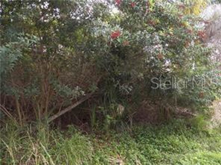 Beautiful wooded site in South Venice, backs up to undeveloped park. Great place for your new home!!!