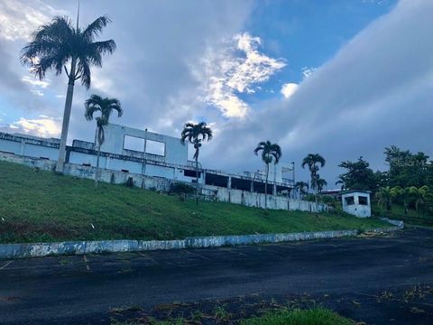 LOT 1 PR 174 KM 22.7 SONADORA WARD AGUAS BUENAS  00703
