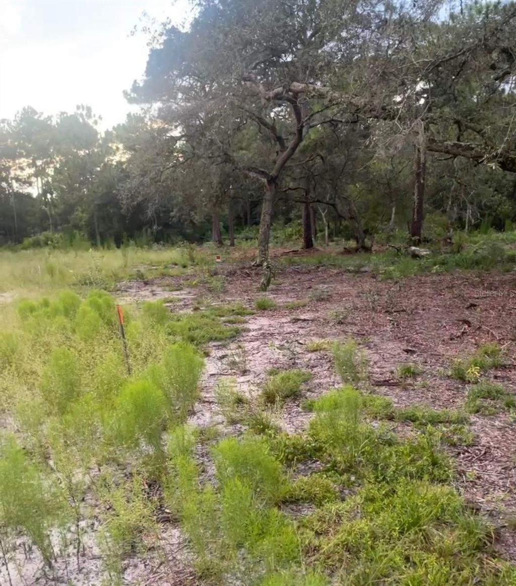 Photo of Brookside Circle, Mount Dora, FL 32757 (MLS # O6366030)