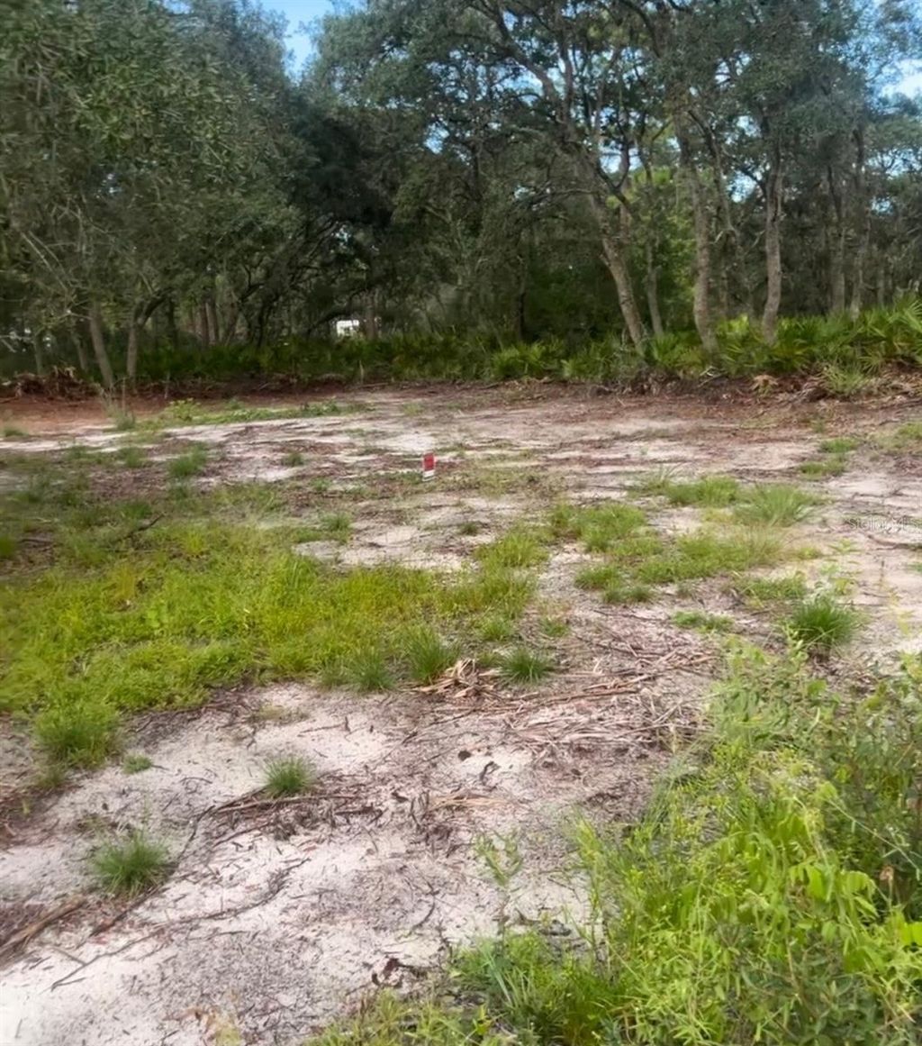 Photo of Brookside Circle, Mount Dora, FL 32757 (MLS # O6366030)