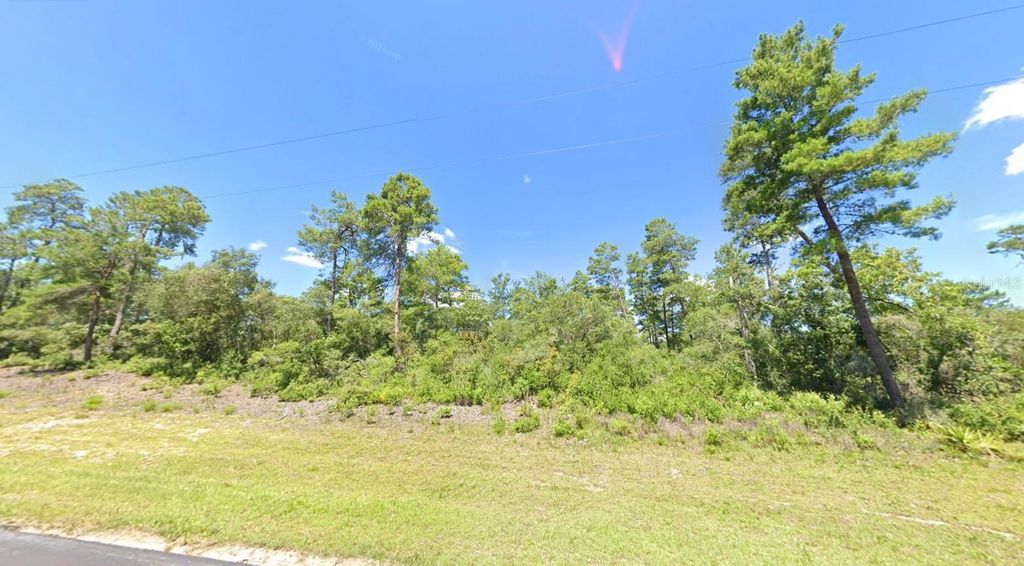 Photo of Marion Oak, Ocala, FL 34473 (MLS # O6360609)