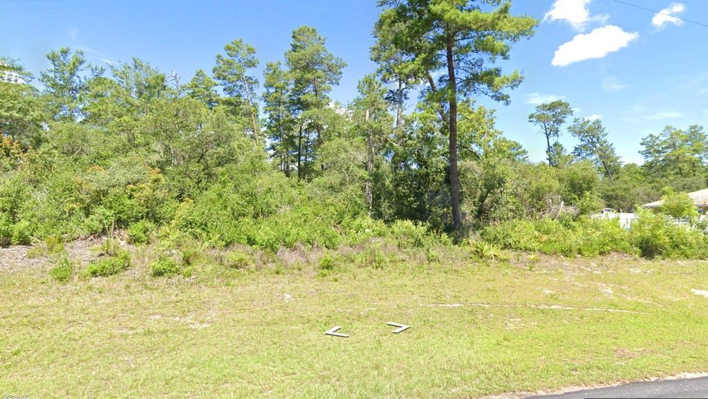 Photo of Marion Oak, Ocala, FL 34473 (MLS # O6360609)