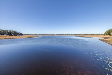 Tiny photo for 4269 SW Freshwater Court, Dunnellon, FL 34431 (MLS # TB8458661)