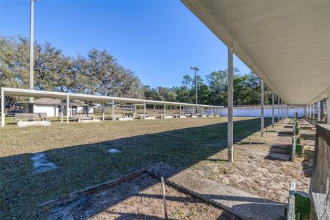 Tiny photo for 4269 SW Freshwater Court, Dunnellon, FL 34431 (MLS # TB8458661)