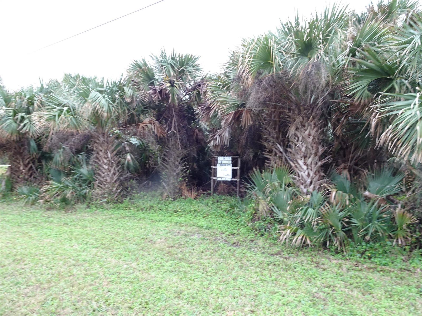 Bethune Volusia Beach - Land