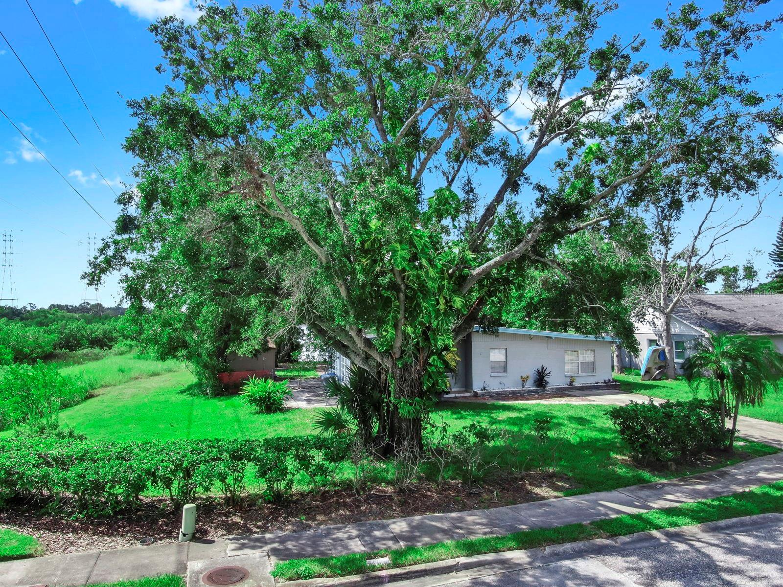 OLDSMAR COUNTRY CLUB ESTATES SEC 2 - Residential