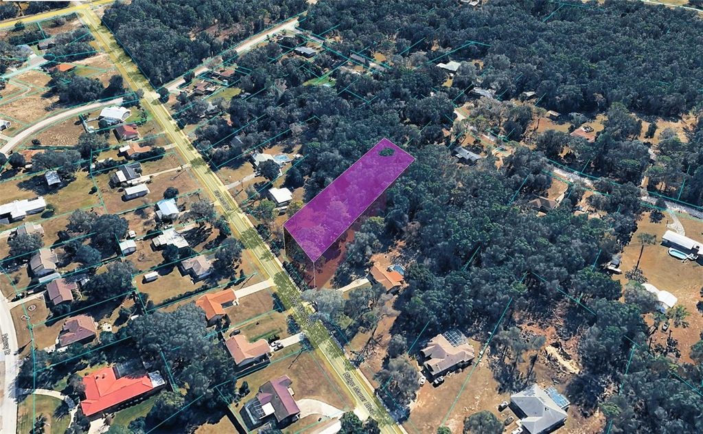 Photo of Ridge Manor Boulevard, Dade City, FL 33523 (MLS # TB8470137)