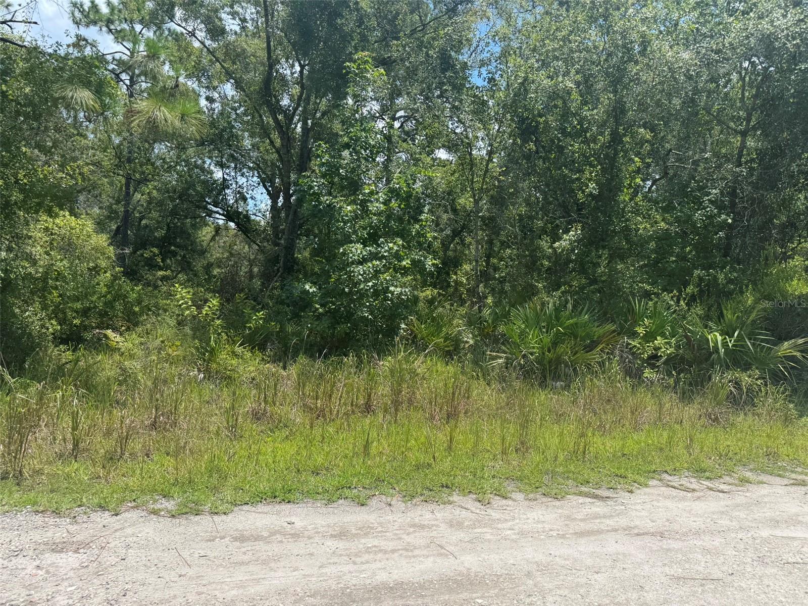 Seize the opportunity to own this 0.35-acre buildable lot in a peaceful New Port Richey neighborhood—perfect for your dream home or next investment project. Enjoy the charm of country-style living with the convenience of nearby shopping, dining, and quick access to US-19 and SR-52, making commuting and coastal adventures effortless. This high and dry property comes with no HOA or CDD fees, giving you total freedom to design and develop as you wish. Whether you're planning to build or hold for future appreciation, this lot offers exceptional value in the fast-growing Pasco County market. Don’t miss out on this rare blend of affordability, flexibility, and location!