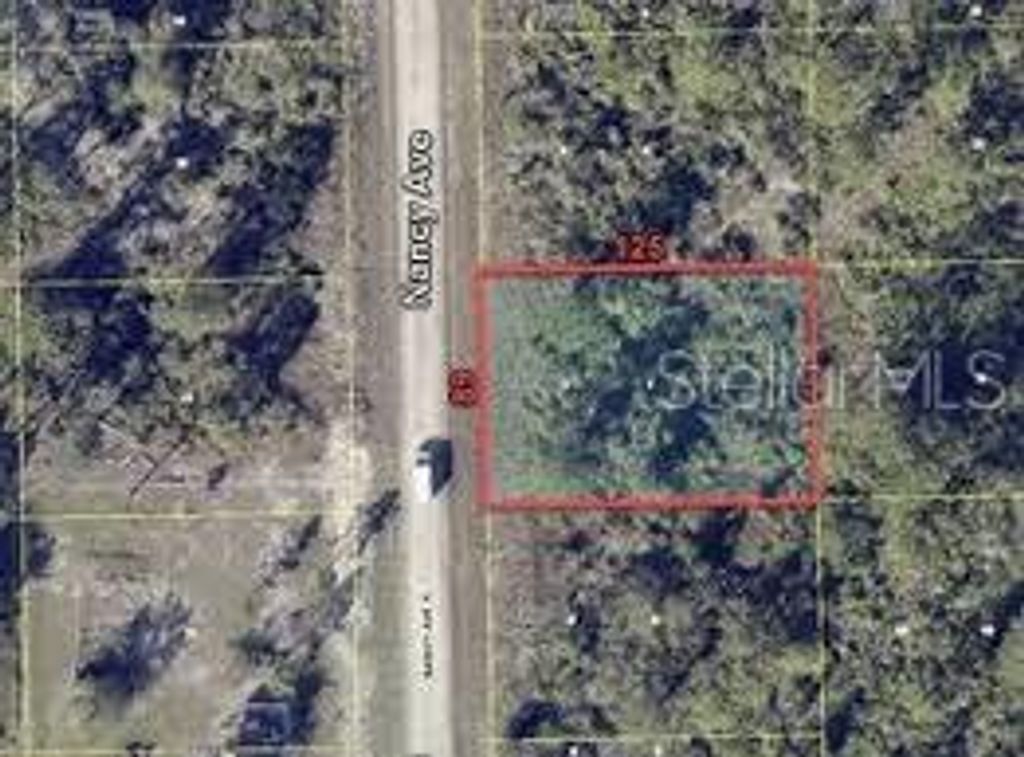 Photo of 241 Nancy Avenue S, Lehigh Acres, FL 33974 (MLS # C7494356)
