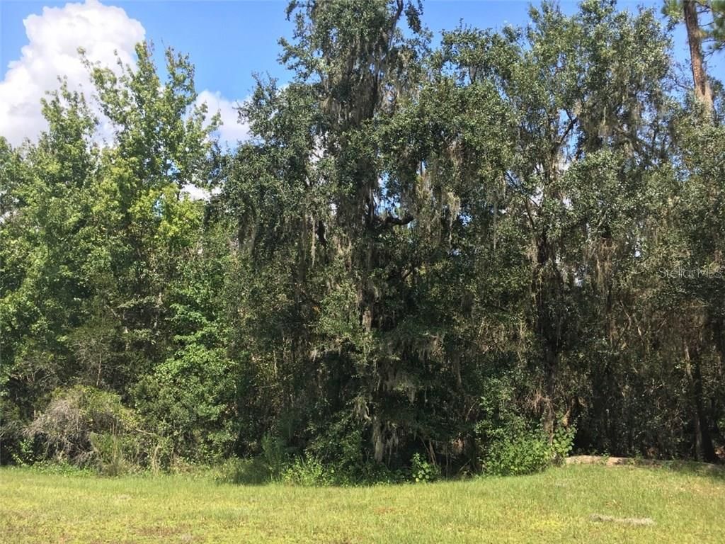 Photo of 41025 E 20th Place, Myakka City, FL 34251 (MLS # A4196499)