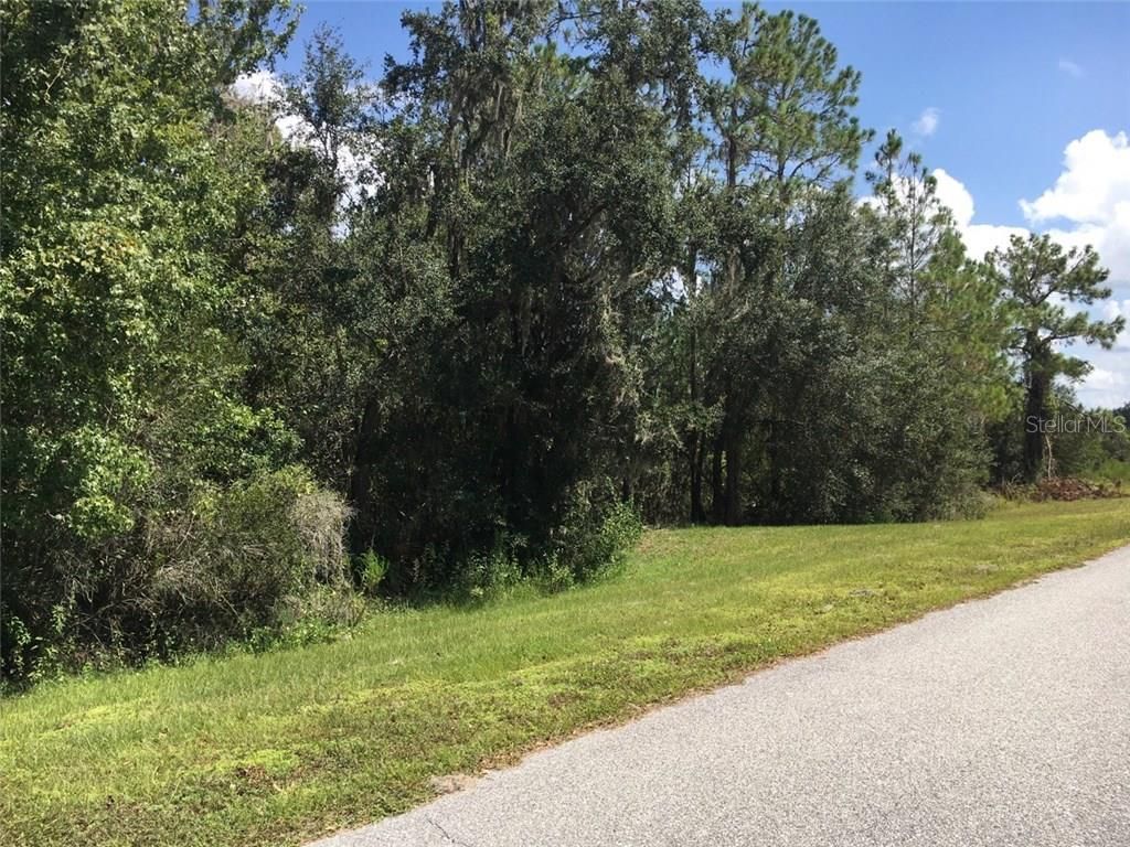 Photo of 41025 E 20th Place, Myakka City, FL 34251 (MLS # A4196499)