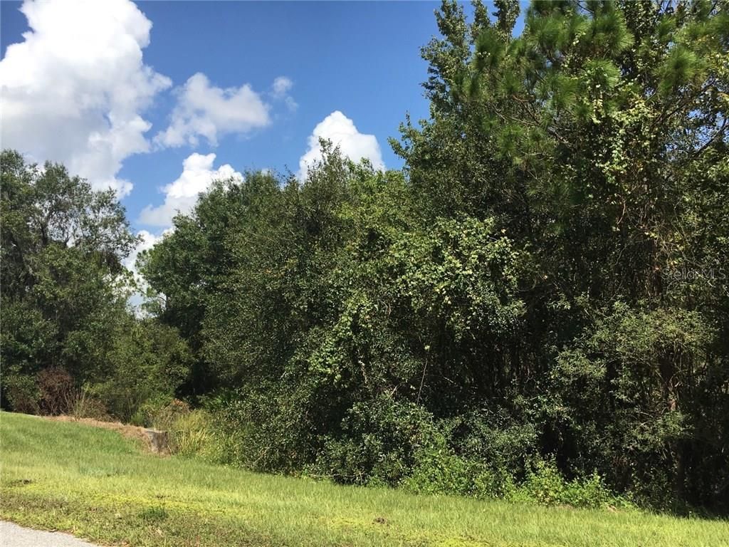 Photo of 41025 E 20th Place, Myakka City, FL 34251 (MLS # A4196499)