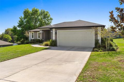 Tiny photo for 415 N Dixie Drive, Howey In The Hills, FL 34737 (MLS # G5110089)