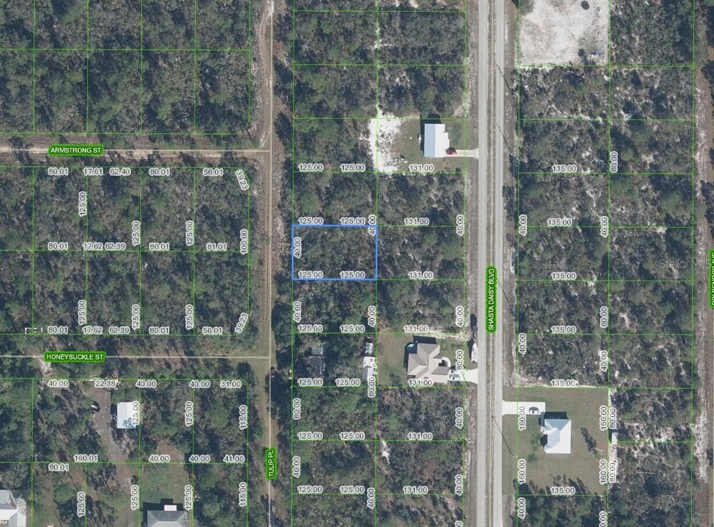 Photo of 7020 Tulip Place, Sebring, FL 33875 (MLS # O6414467)