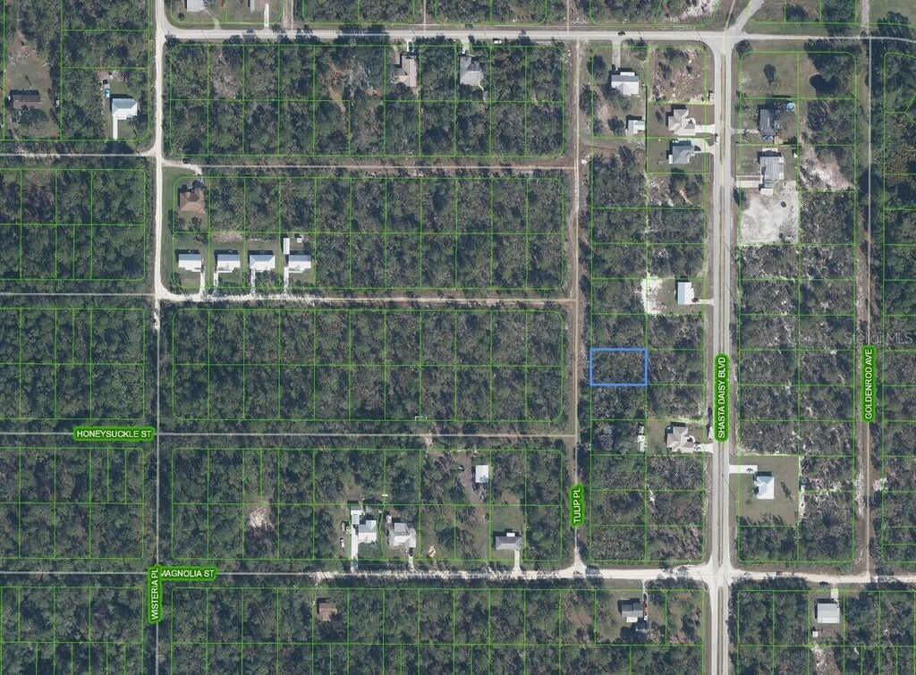 Photo of 7020 Tulip Place, Sebring, FL 33875 (MLS # O6414467)
