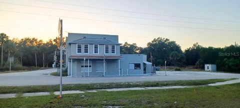Photo of 1700 Us Highway 17 N, Seville, FL 32190 (MLS # TB8476032)