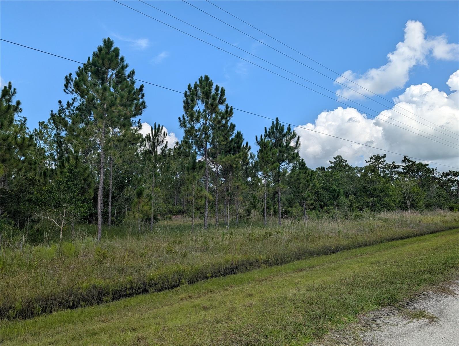 Come build your forever home on this one-half corner lot that located in the lake community of Indian Lake Estates, a golfing, fishing and
boating community in the center of Florida. Indian Lake Estates is about 20 miles east of Lake Wales. The community surrounds the 7,500 acre lake locally known as Lake Walk In Water, nationally known for its fishing and considered to be one of the best bass fishing lakes in all Florida. The lake has a beach, boat ramp, boat marina and the longest freshwater Fishing pier in the State of Florida. The pavilion is located at the front of the pier and is complete with propane grills and covered picnic tables. The community amenities include an 18-hole golf course, basketball and tennis courts, 23, 000 sq.ft. clubhouse, cafe, post office, churches, library, fitness room and pro shop. If you love nature and the peace and quiet of the country you're in luck. Wildlife is plentiful! You will see deer, raccoon, turkey, turtles, cranes and various species of birds that call Indian Lake Estates their home. Orlando and Disney is only about an hour's drive north and Tampa, Busch Gardens, and the Gulf's pristine beaches only a little over an hour west. Historic Bok Tower, a National Landmark, is in nearby Lake Wales. The Westgate River Ranch Resort and Rodeo is just six miles away. An authentic Florida dude ranch and full-service resort offering guests the opportunity to experience "Old Florida." Encompassing 1,700 beautiful acres, Westgate River Ranch features horseback riding, wildlife airboat and swamp buggy rides, Saturday night championship rodeo, trap/skeet range, nature hikes, petting farm, marina, Adventure Park with zip line and rock climbing wall, Westgate Smokehouse Grill and River Ranch Saloon and much more. Cowboy-themed accommodations range from ranch-themed lodge guestrooms and deluxe lodge suites to spacious cottages, two-bedroom cabins, Glamping and Luxe Teepees. Come out and see how great life can be at Indian Lake Estates! Polk County's best kept secret!