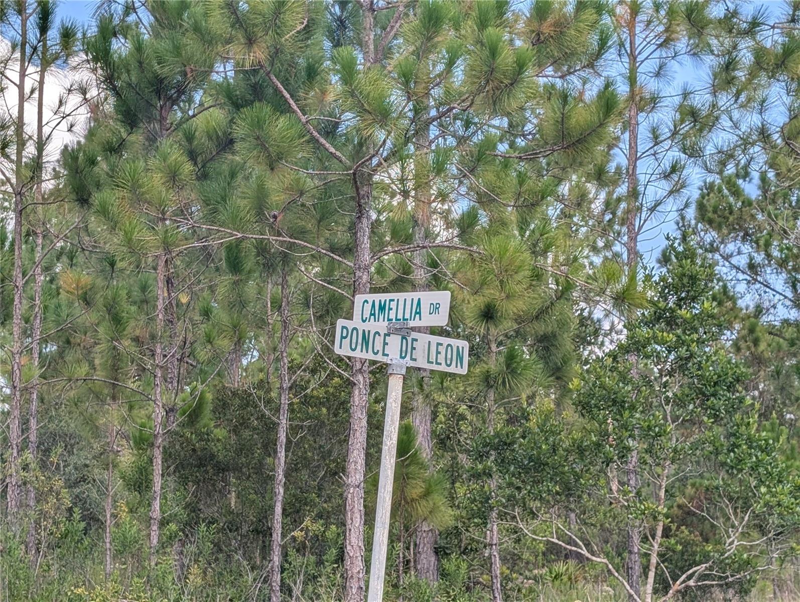 401 CAMELLIA DRIVE